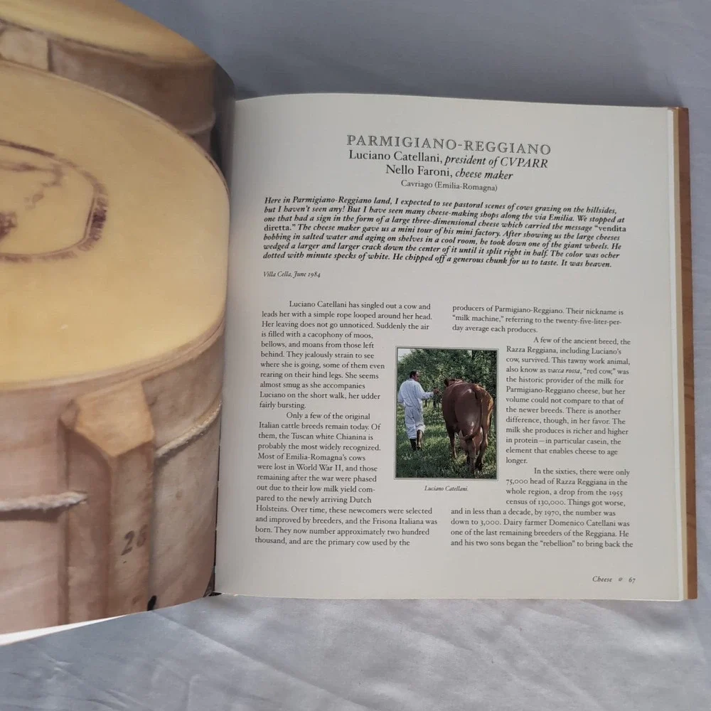 Italian Food Artisans‎ Traditions And Recipes By Pamela Sheldon Johns Cookbook
